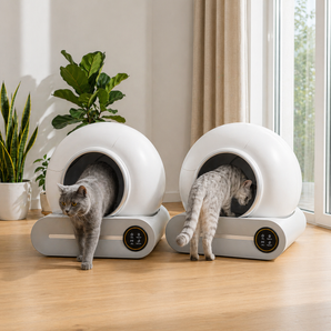 PetMaison Duo Care – 2x Box
